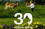 Très bonnes audiences pour "30 millions d'amis" sur France 3