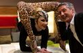 Antoine de Caunes dans "Sex Wiz Antoine"