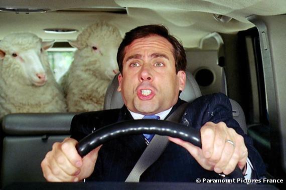 Steve Carell dans "Evan tout-puissant"