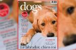 "Dogs", nouveau magazine sur les chiens