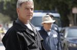 Audiences M6 : bon démarrage pour la saison 5 de "NCIS"