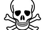 Le piratage, un "sport national" en France