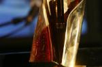 Les nommés des "Victoires de la musique" 2009
