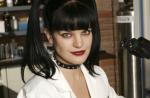 Bande-annonce : "NCIS" saison 7 et "NCIS : Los Angeles"