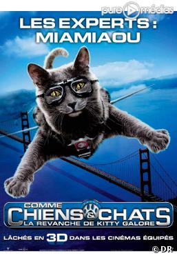 "Comme Chiens et Chats 2"