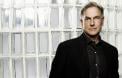 Mark Harmon