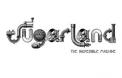 Pochette : The Incredible Machine