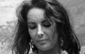 Elizabeth Taylor en 1964.