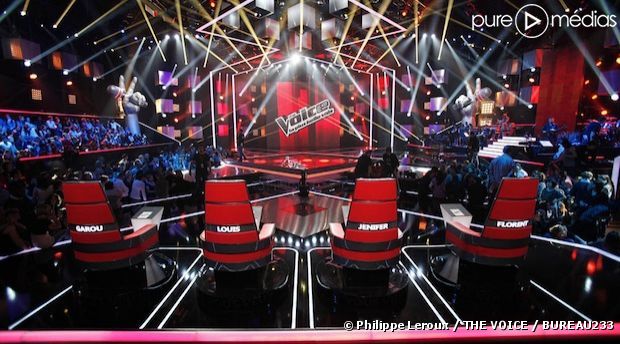 De nombreuses personnalités déjà connues du public ont tenté leur chance dans la saison 2 de "The Voice"