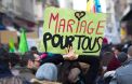 <span>Manifestation en faveur du mariage pour tous, le samedi 26 janvier à Lyon.</span>