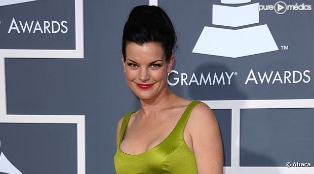 Pauley Perrette