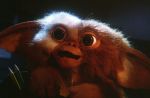 Les "Gremlins" bientôt de retour au cinéma ?