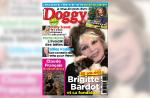 Doggy pointe le bout de sa truffe