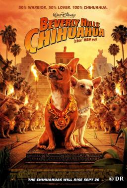 "Beverly Hills Chihuahua"
