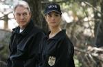 Audiences US : record historique pour "NCIS"