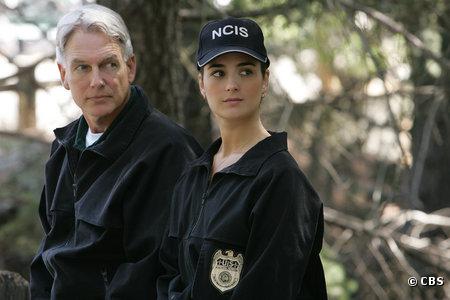 Mark Harmon et Cote de Pablo dans "NCIS"