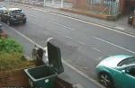 Polémique en Angleterre après la vidéo d'une femme jetant un chat à la poubelle