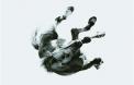 Pochette : Dark is the Way, Light is a Place