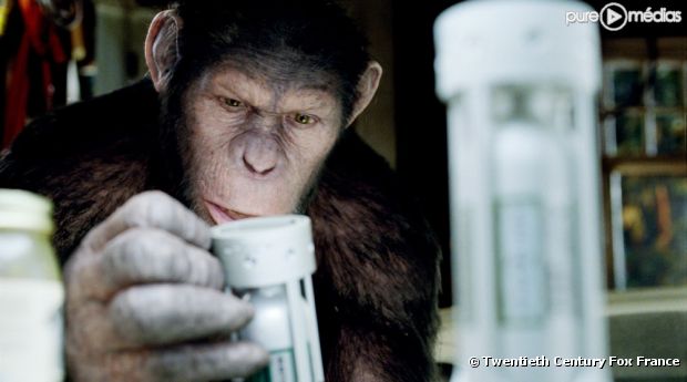 "La Planète des singes : les origines"