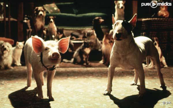 Extrait de "Babe, le Cochon dans la ville"