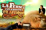 Semaine 5/TF1 : Mentalist, Blood Diamond, Camping Paradis
