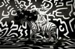 Clip : Rihanna ne dit pas non au "Rude Boy"