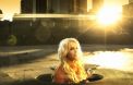 Le clip "Till the World Ends" de Britney Spears