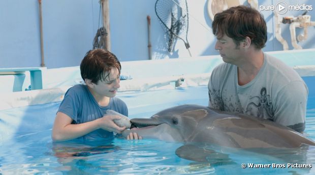 "L'incroyable histoire de Winter le dauphin"