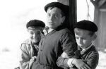Audiences : "La Guerre des boutons" booste France 3