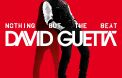 7. David Guetta - Nothing But the Beat