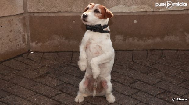 Uggie