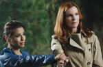 Programme TV : Les "Desperate Housewives" reviennent une dernière fois avant leurs adieux