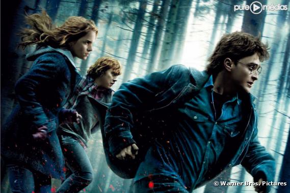 "Harry Potter et les Reliques de la Mort (Partie 1)"
