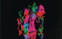 Pochette : Wasting Light
