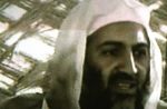 Sursaut d'audience pour les JT et "Le Grand journal" avec la mort de Ben Laden