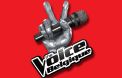 Le logo de "The Voice Belgique"
