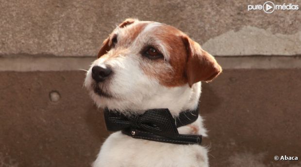 Uggie