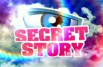 "Secret Story", "Plus belle la vie" et "Bref", programmes les plus "rattrapés" en 2012