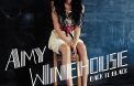 <strong>9. Amy Winehouse - "Back to Black"</strong> / 37.000 ventes (+3.140%)