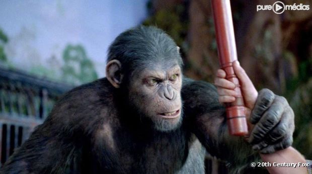"La Planète des Singes : les origines"