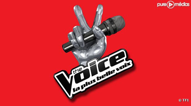 The Voice, la plus belle voix, 4439720--the-voice-la-plus-belle-voix-620x345-1