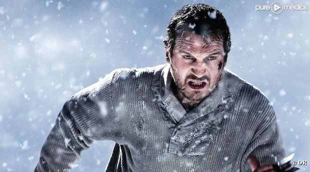 Liam Neeson dans "Le Territoire des loups"