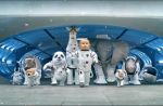 Pub : Kia révèle d'où viennent les bébés