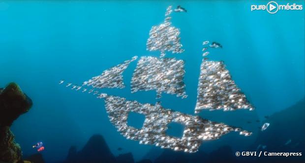 Le monde de nemo