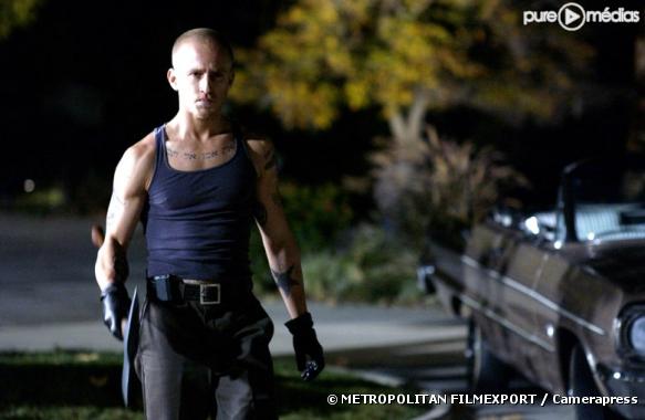 Alpha dog