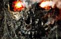 L'affiche américaine de "Terminator Renaissance"