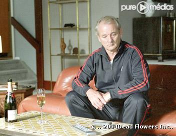 Broken Flowers