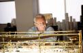 Anthony Hopkins dans "La Faille"