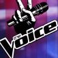 The Voice - La plus belle voix