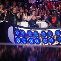 Audiences : "Nouvelle Star" en perte de vitesse en 2010